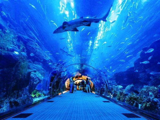 National Aquarium Abu Dhabi