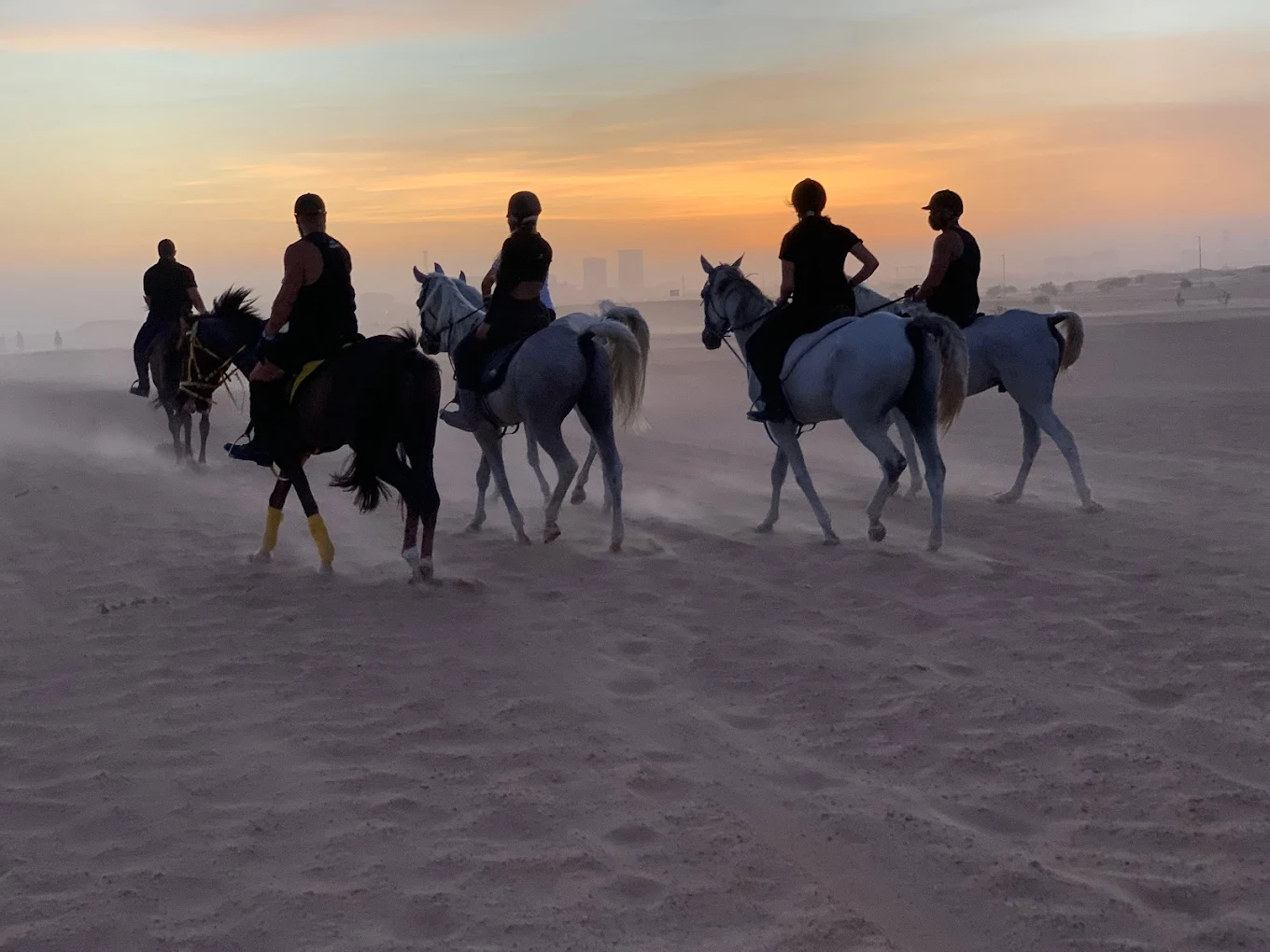 Horseback Riding In Dubai Desert With Transfers