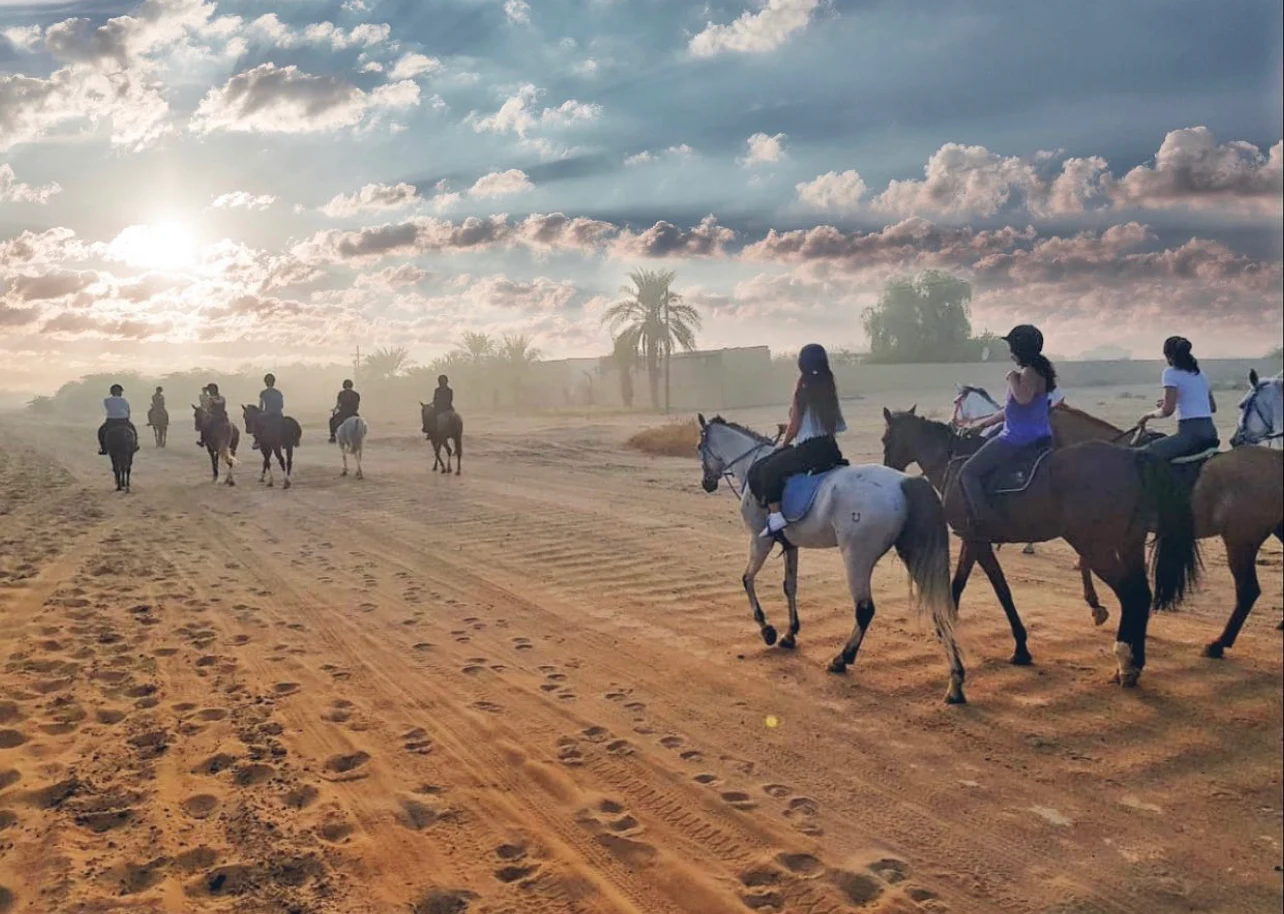 Horseback Riding In Dubai Desert With Transfers