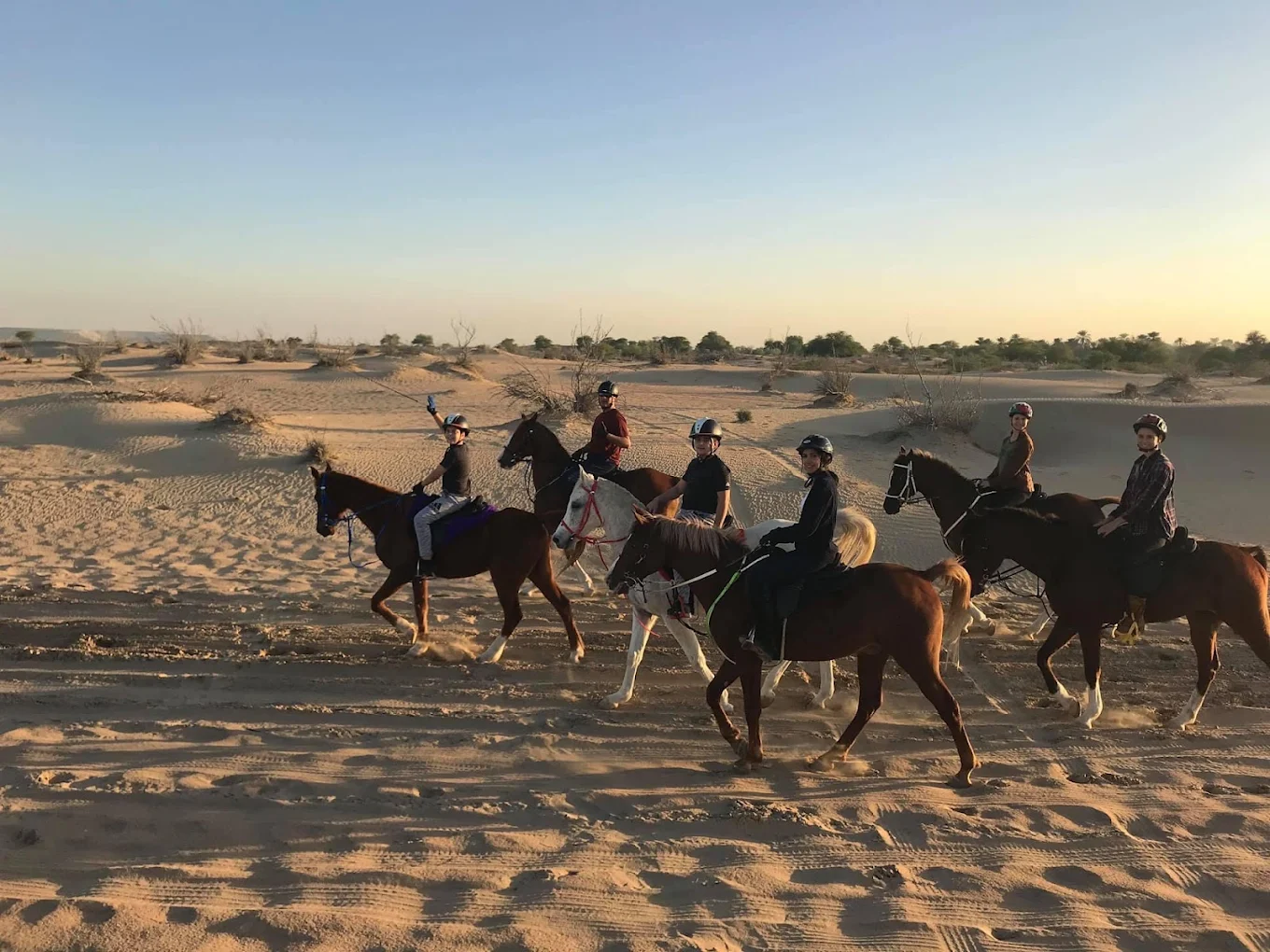 Horseback Riding In Dubai Desert With Transfers