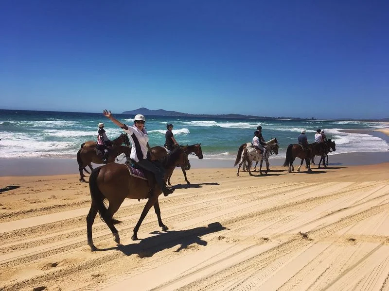 Beach Horse Riding Experience With Transfer