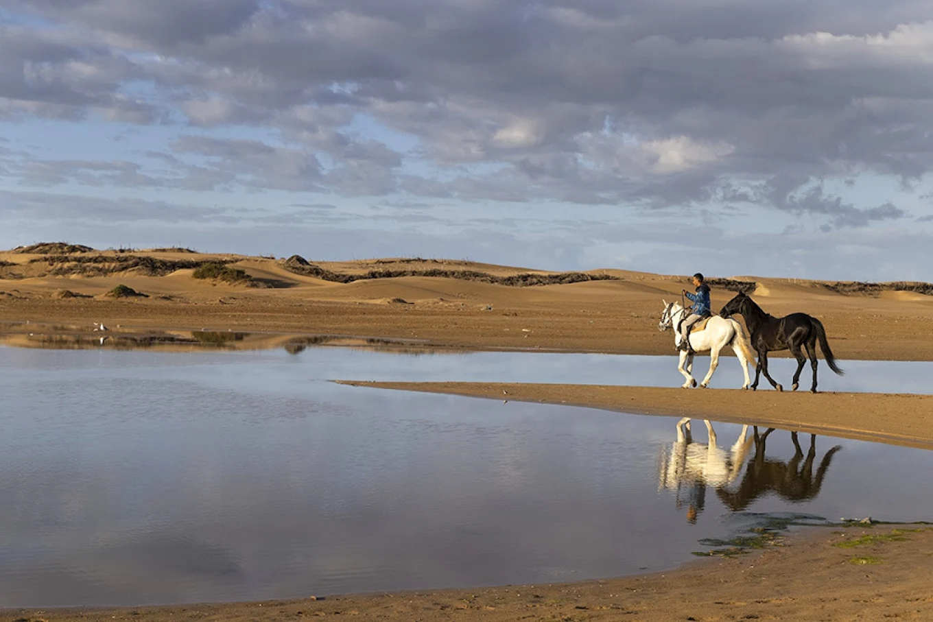 Beach Horse Riding Experience With Transfer