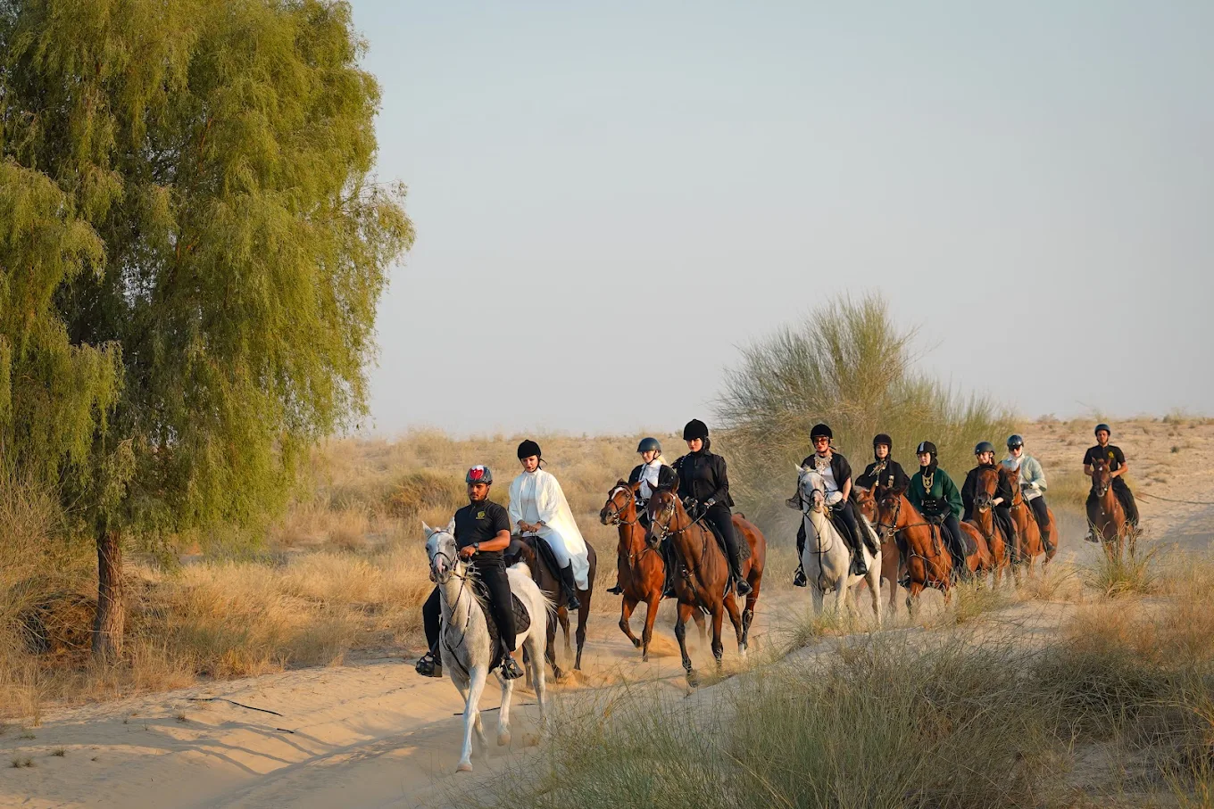Horseback Riding In Dubai Desert With Transfers