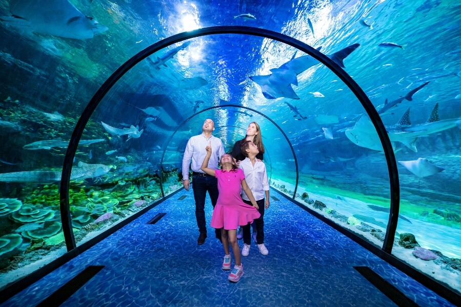 Dubai Aquarium & Underwater Zoo