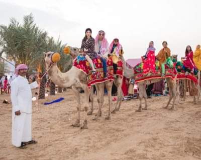 VIP Evening Desert Safari with Private Car
