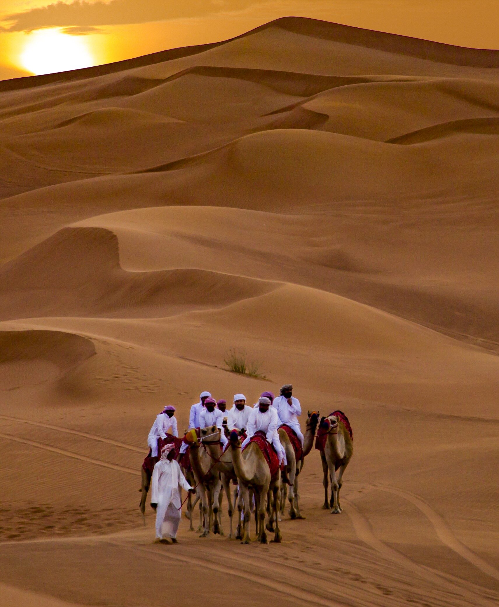 Family Desert Safari Dubai