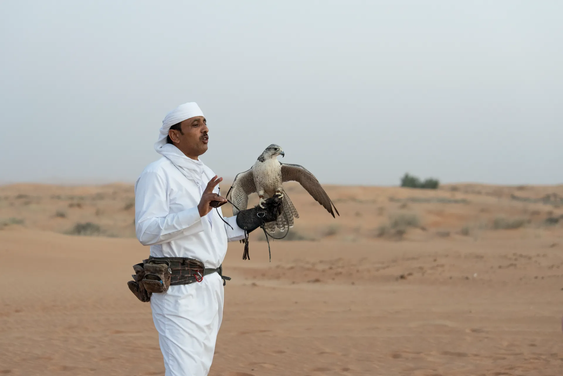 Heritage Moments Bedouin Style Traditional Camp Desert Safari