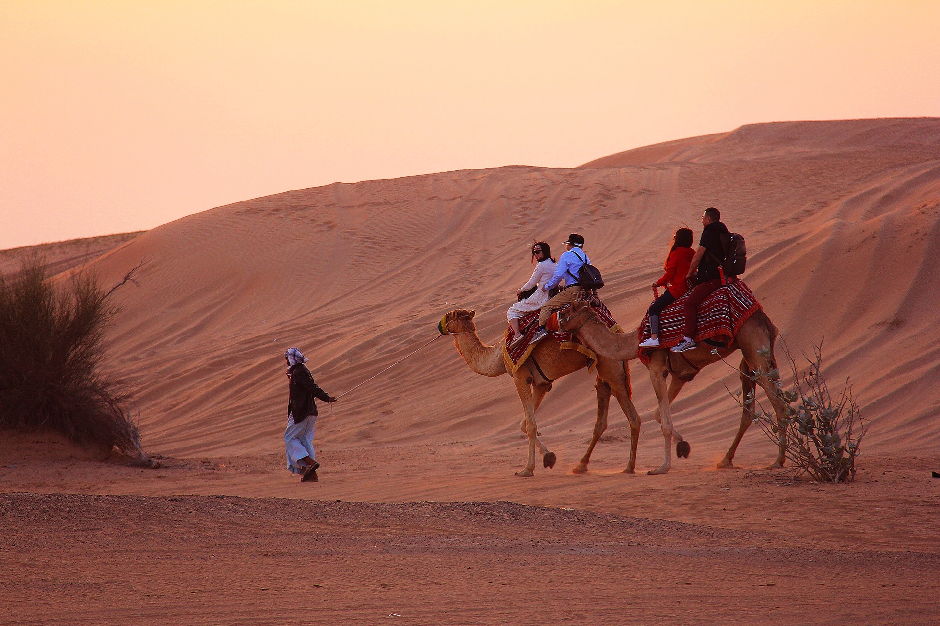 Evening Desert Safari with Quad Bike Combo