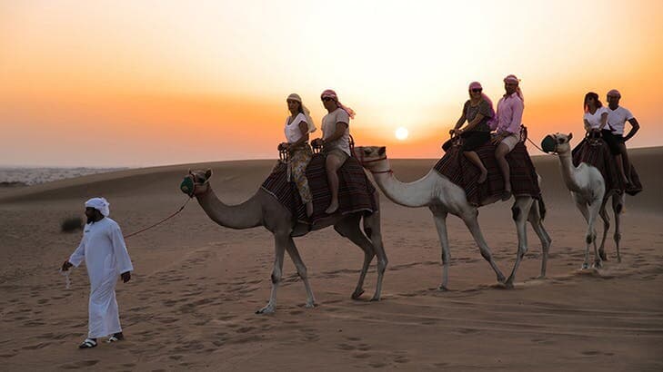 Al Ain Evening Desert Safari