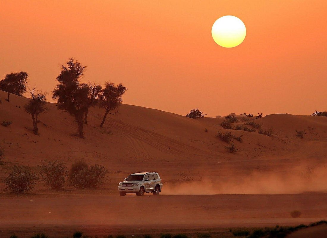 Morning Desert Safari