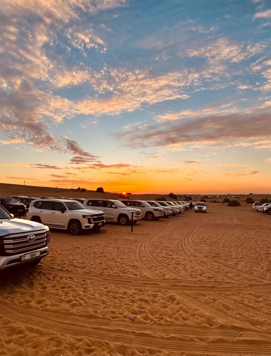 Al Ain Evening Desert Safari