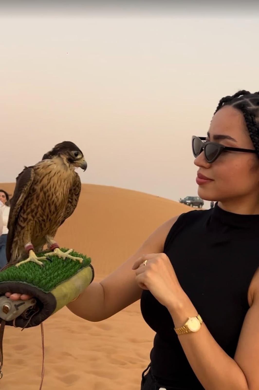 Evening Desert Safari with Quad Bike Combo