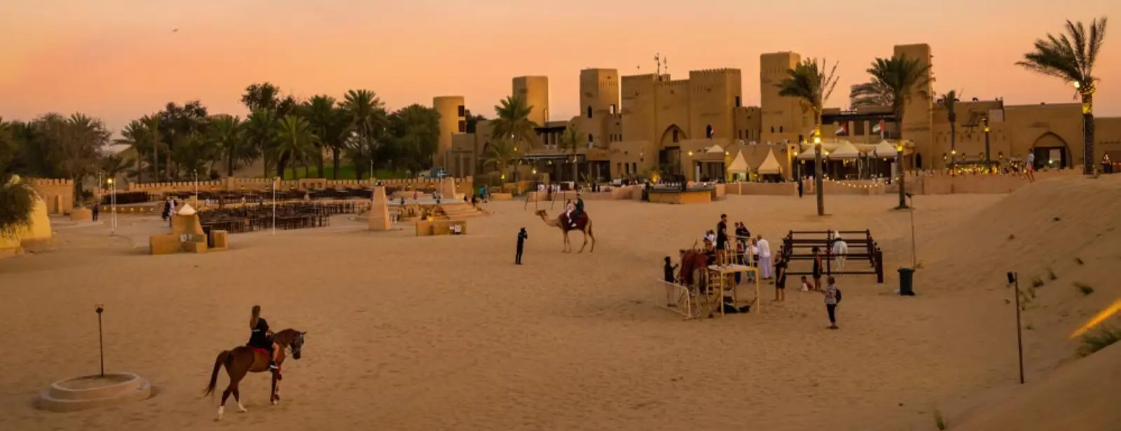 Evening Safari With VIP Sahara Desert Fortress