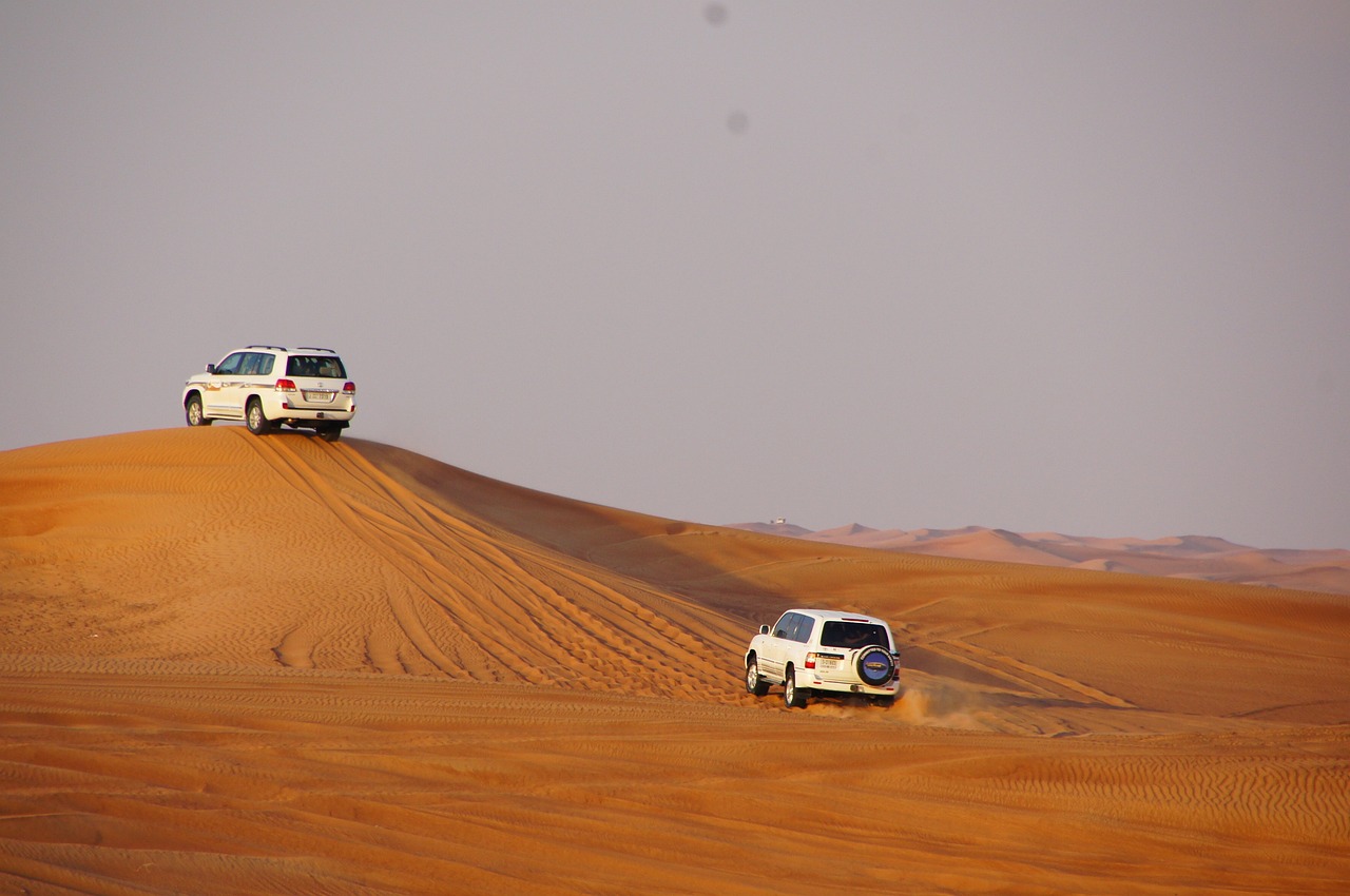 Evening Safari With VIP Sahara Desert Fortress