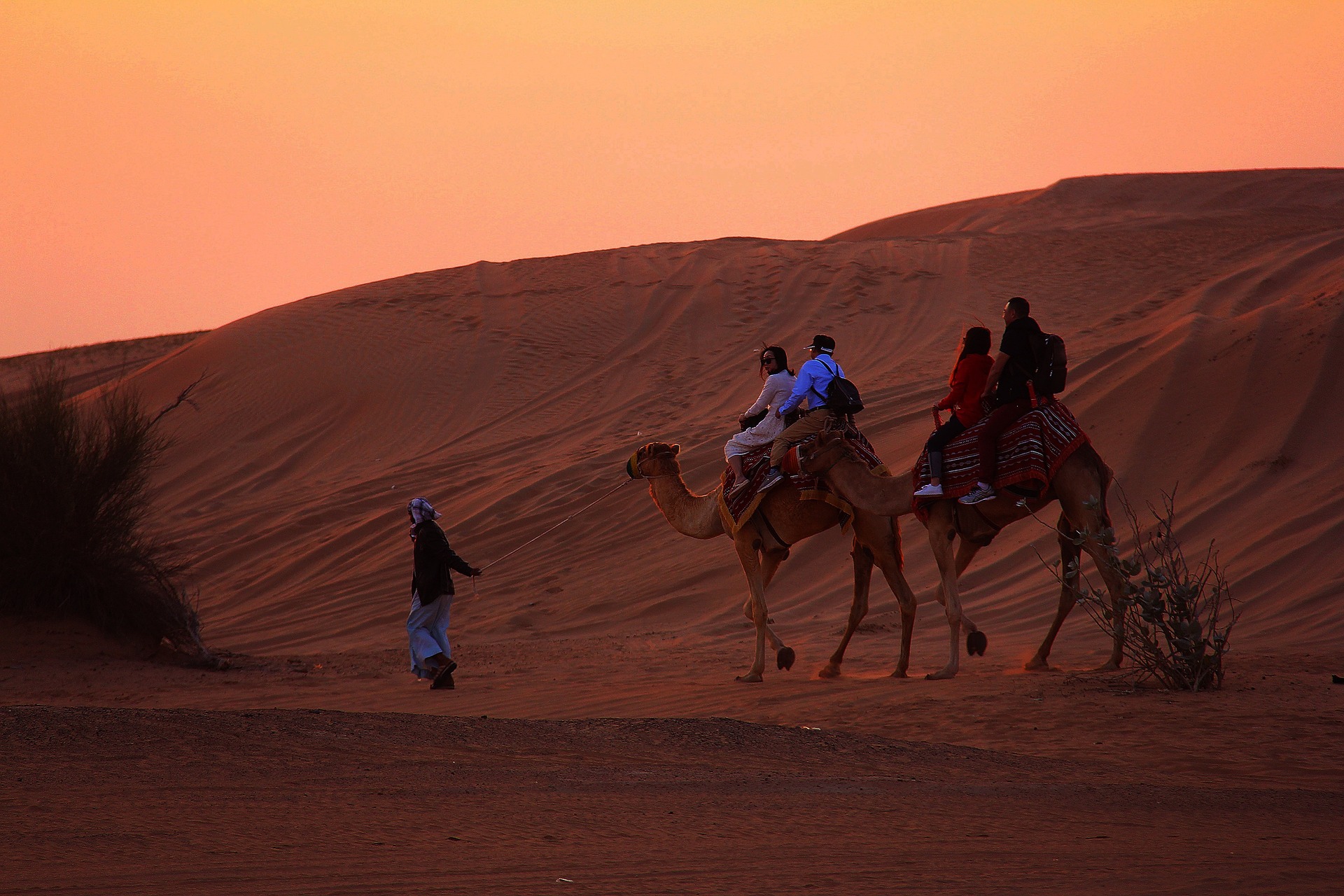 Morning Desert Safari