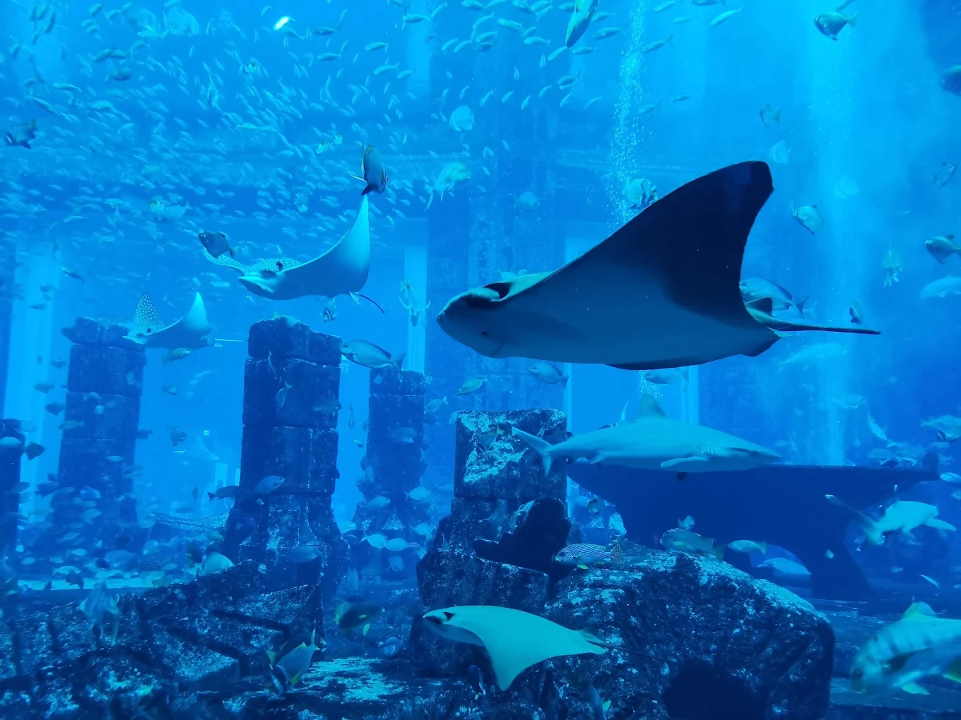 The Lost Chambers Aquarium Dubai