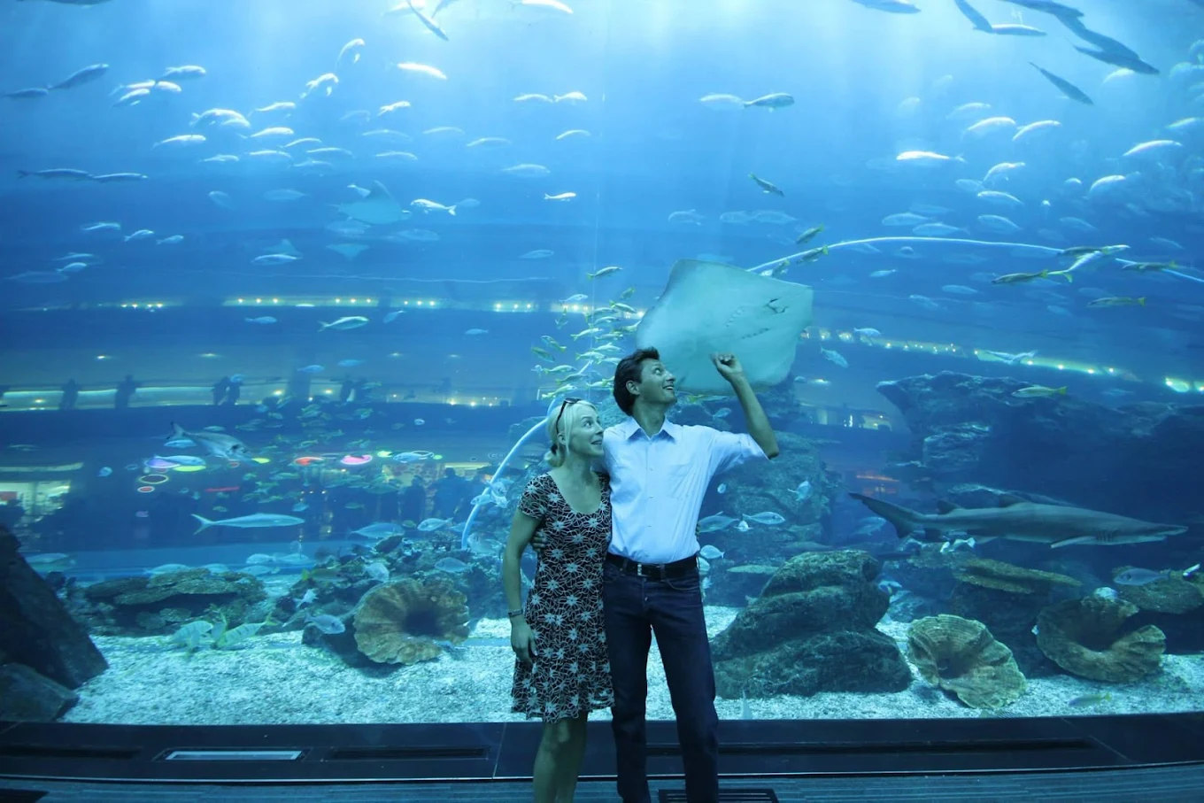 Dubai Aquarium & Underwater Zoo