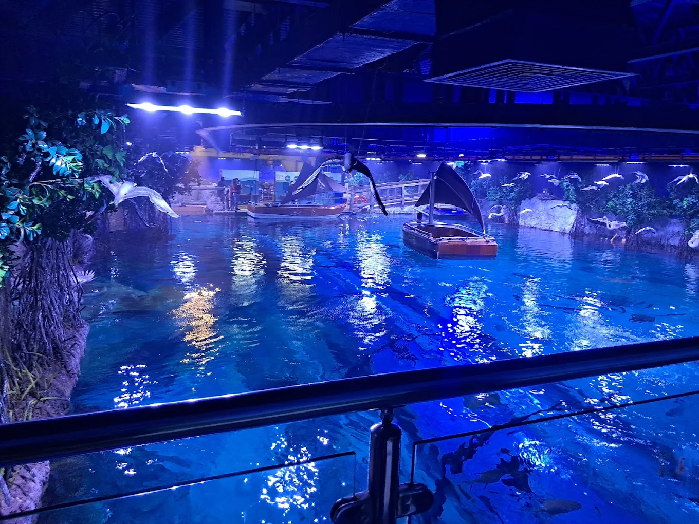 National Aquarium Abu Dhabi