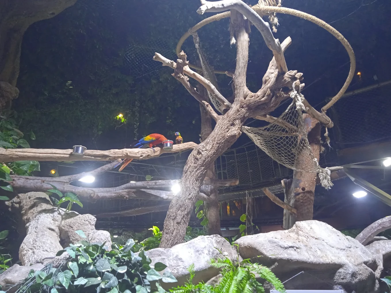 Dubai Aquarium & Underwater Zoo