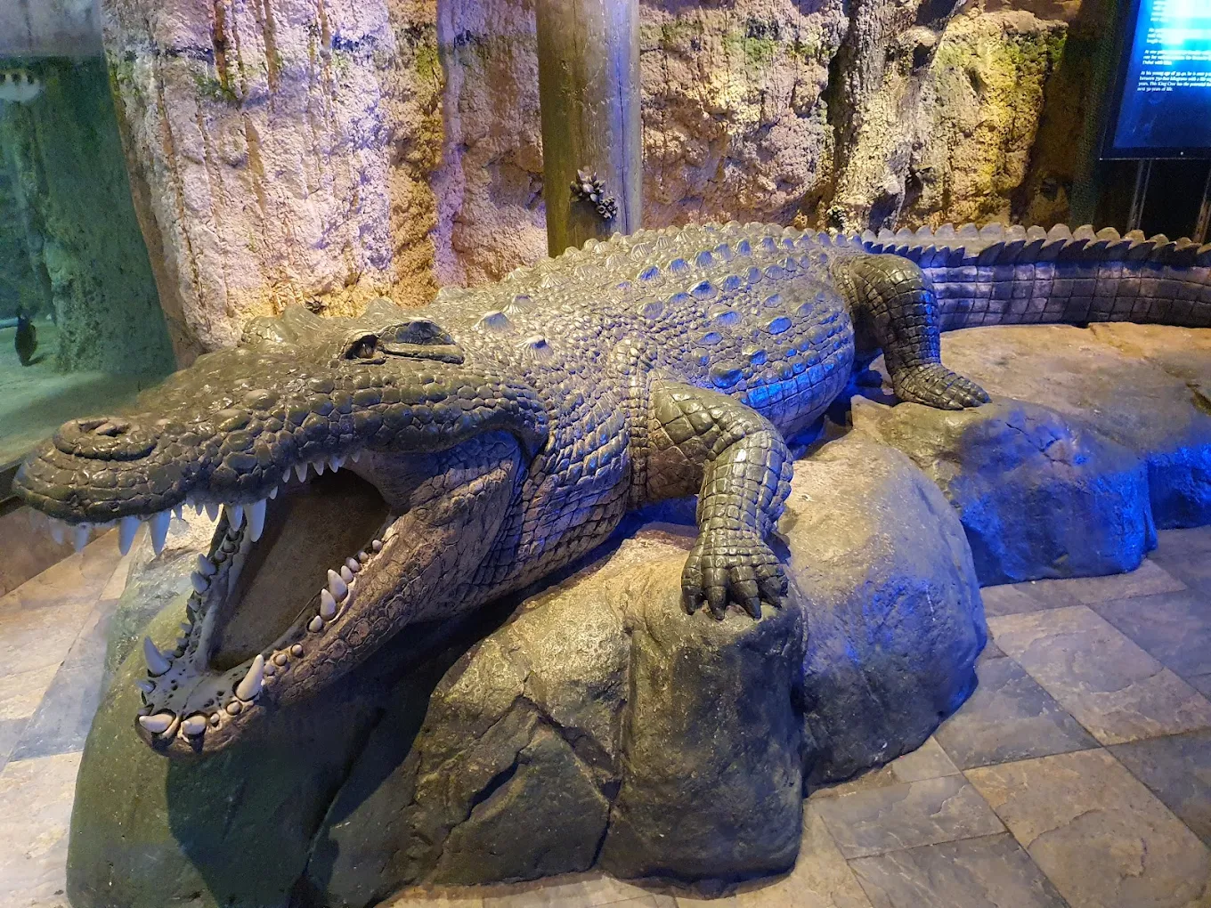 The Lost Chambers Aquarium Dubai