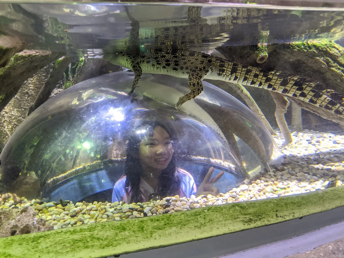Dubai Aquarium & Underwater Zoo