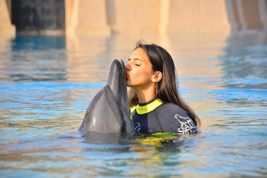 Dolphin Bay at Aquaventure World Tour