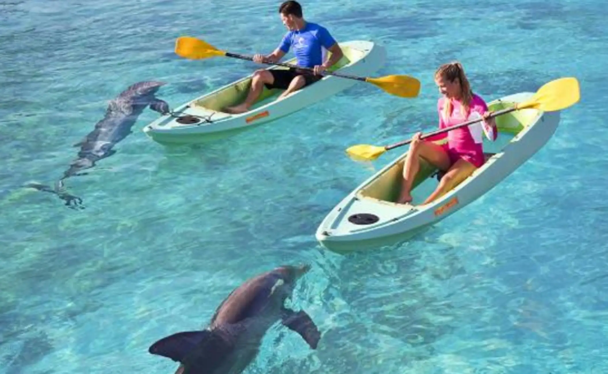 Dolphin Bay at Aquaventure World Tour