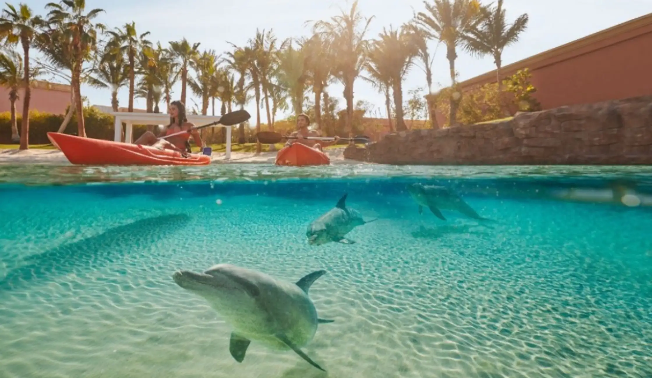 Dolphin Bay at Aquaventure World Tour