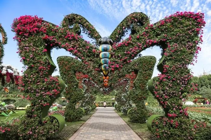 Dubai Butterfly Garden