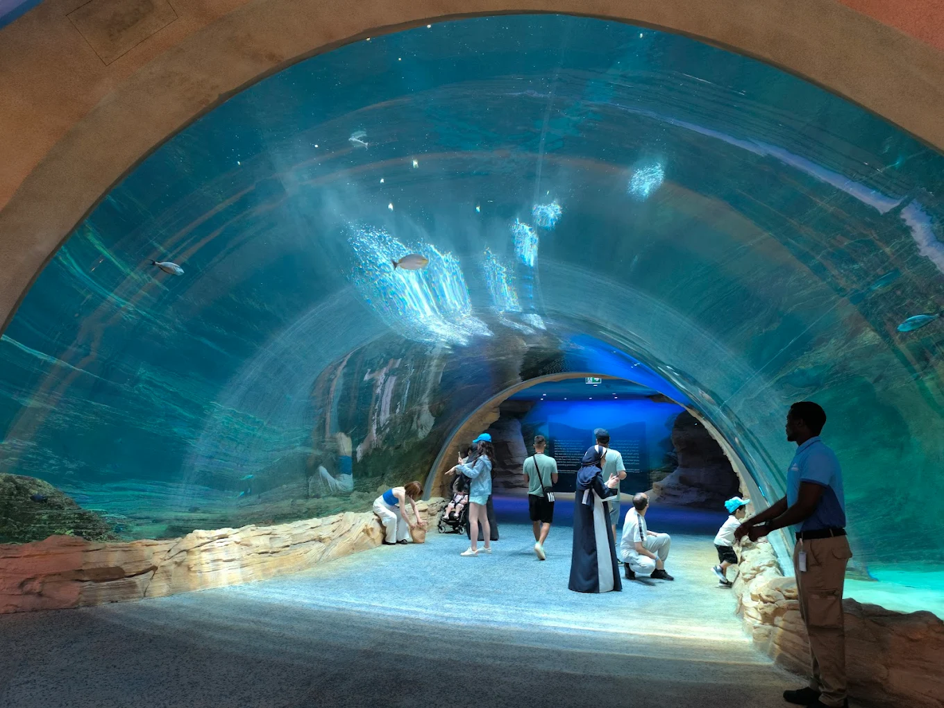 Seaworld Yas Island Abu Dhabi