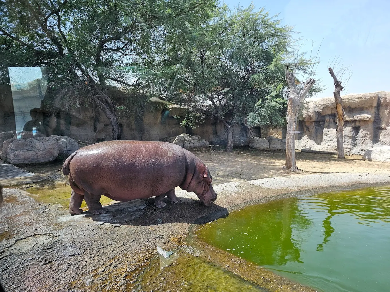 Dubai Safari Park