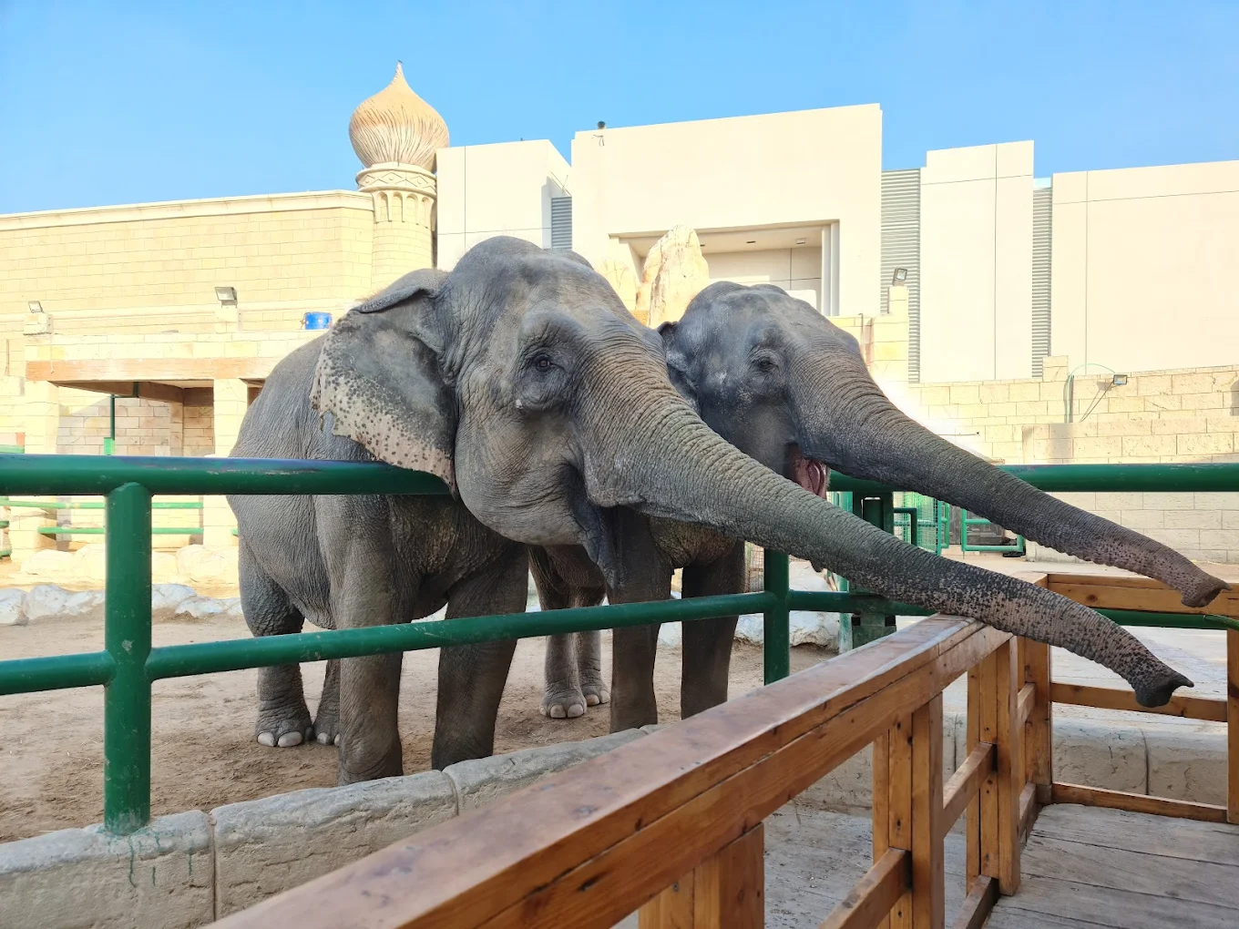 Emirates Park Zoo Abu Dhabi