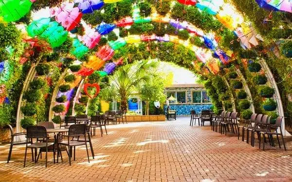 Dubai Butterfly Garden