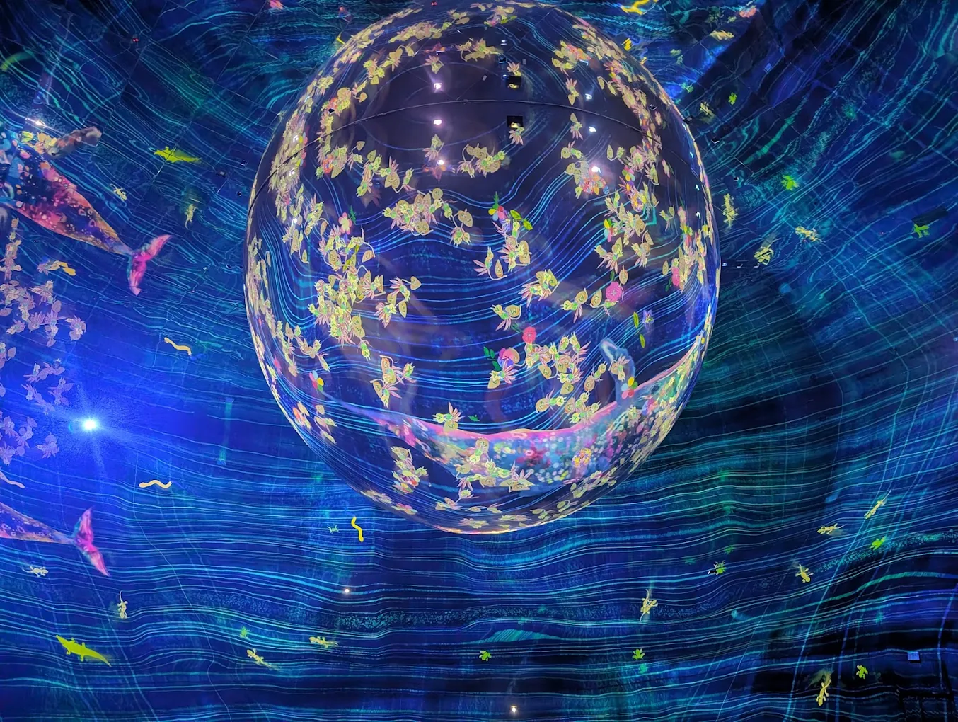 TeamLab Phenomena Abu Dhabi