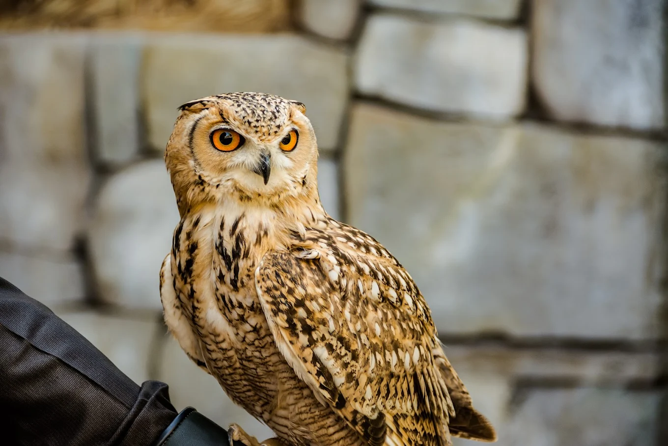 Emirates Park Zoo Abu Dhabi