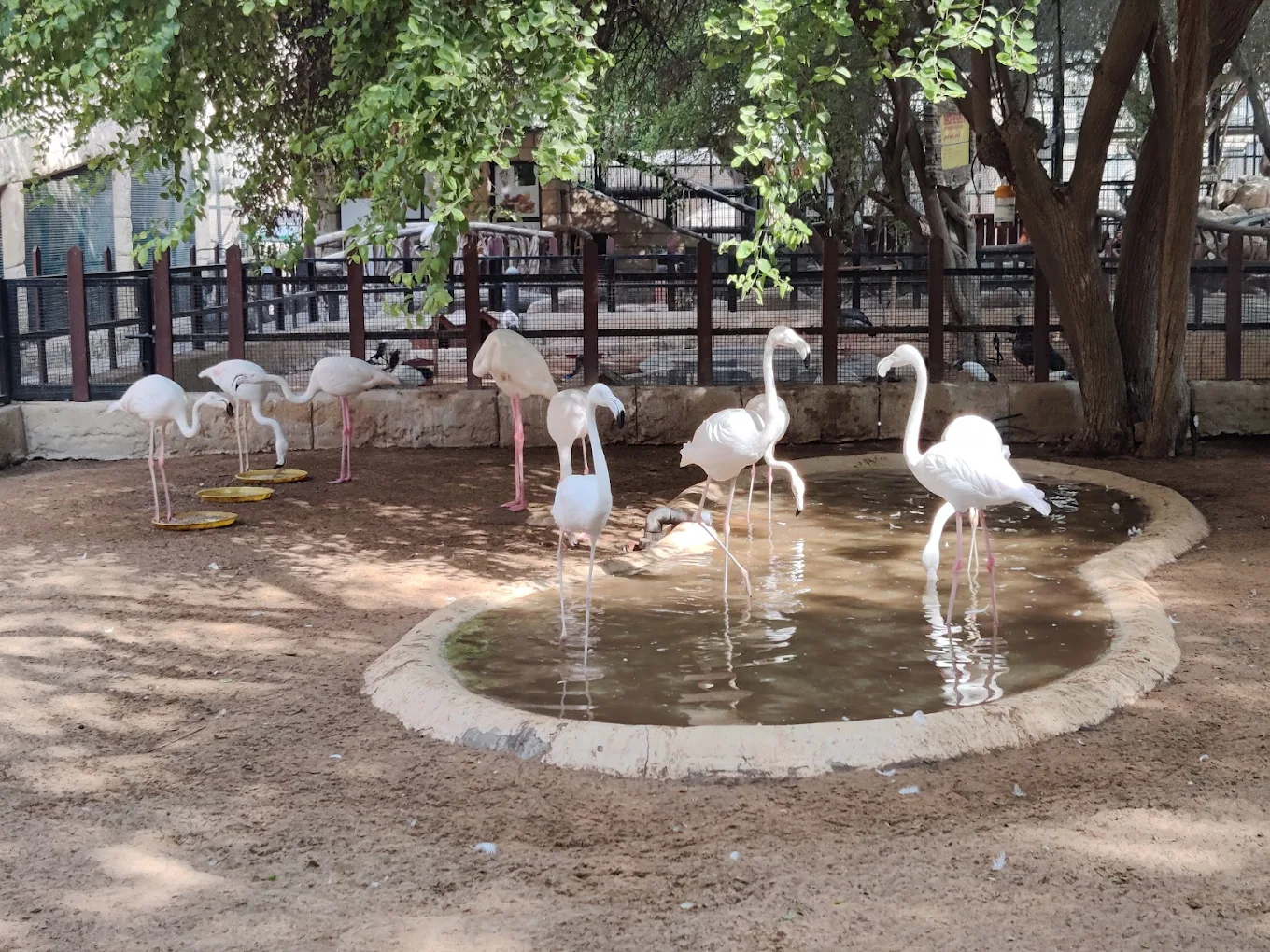 Emirates Park Zoo Abu Dhabi