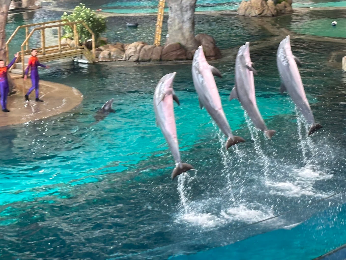 Seaworld Yas Island Abu Dhabi