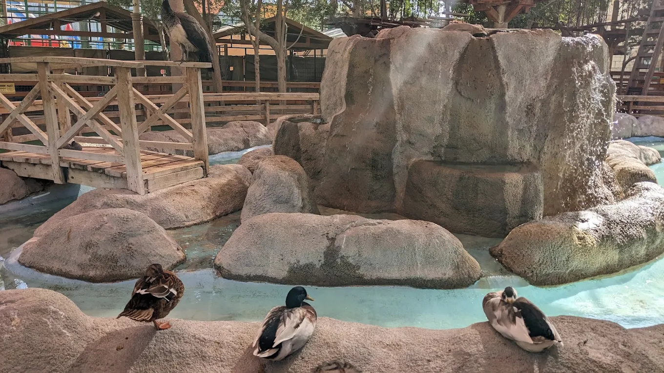 Emirates Park Zoo Abu Dhabi