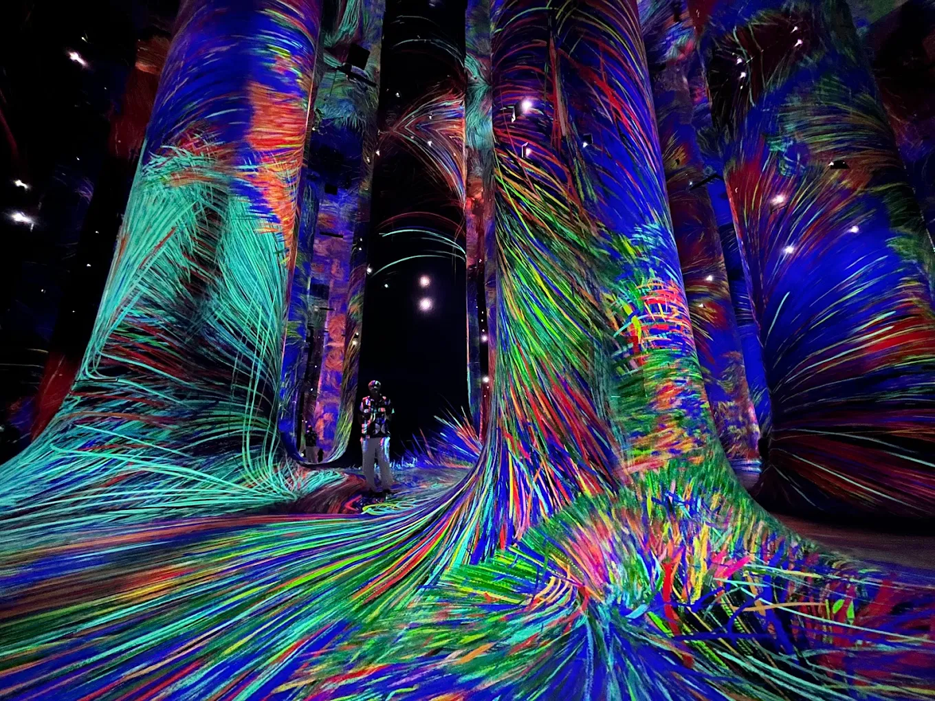 TeamLab Phenomena Abu Dhabi