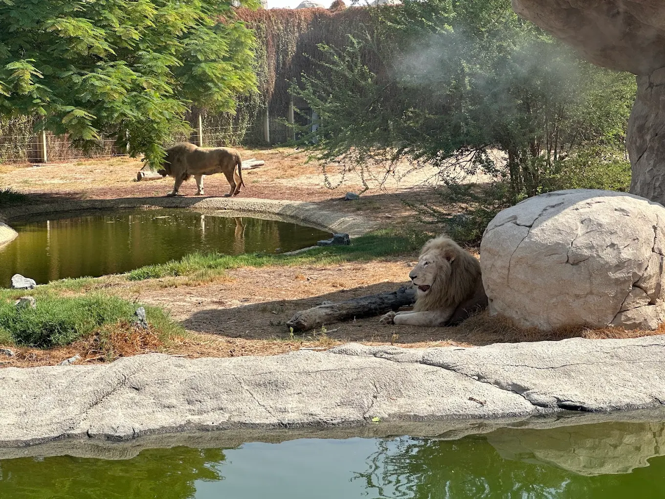 Dubai Safari Park