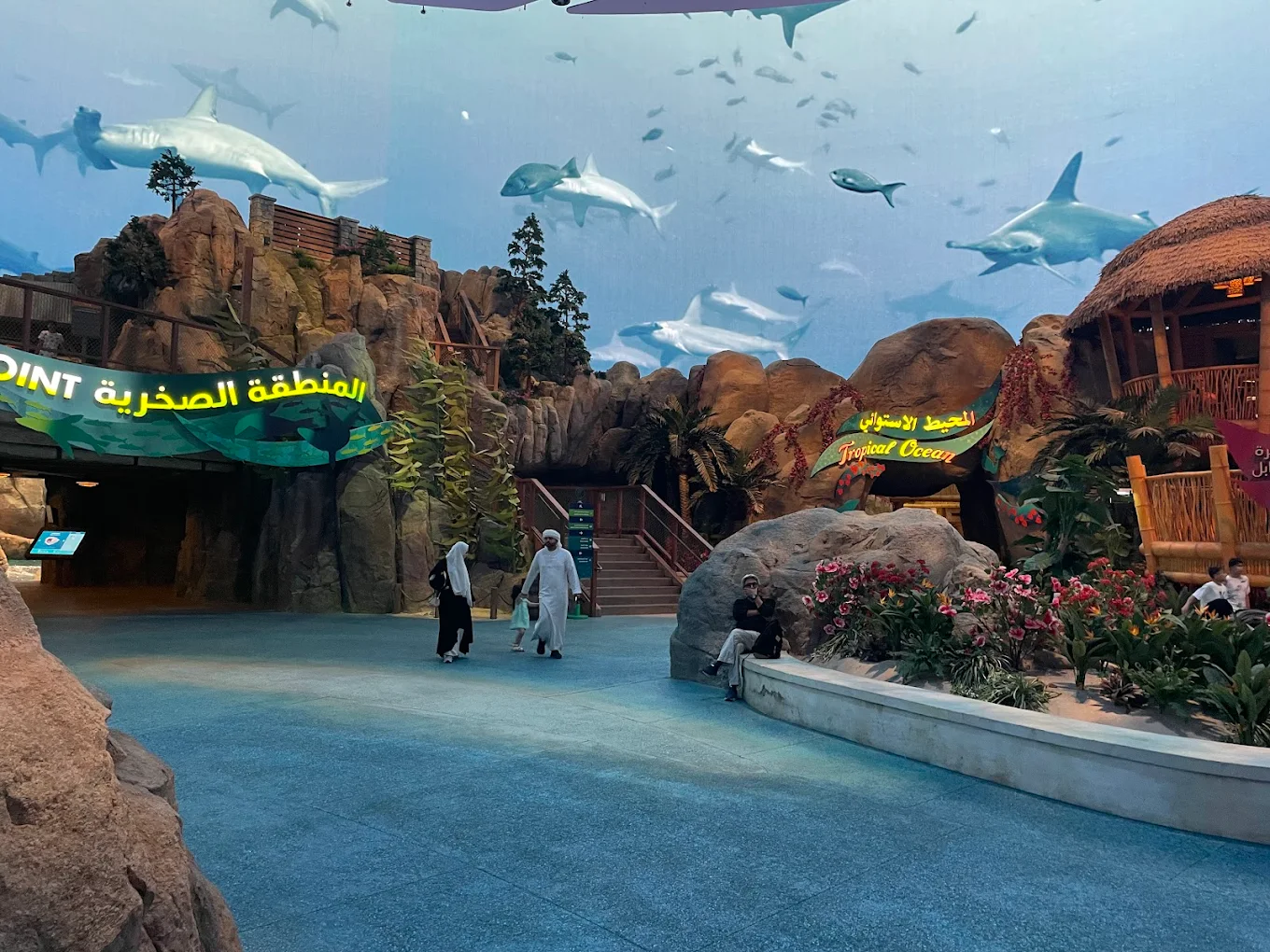 Seaworld Yas Island Abu Dhabi