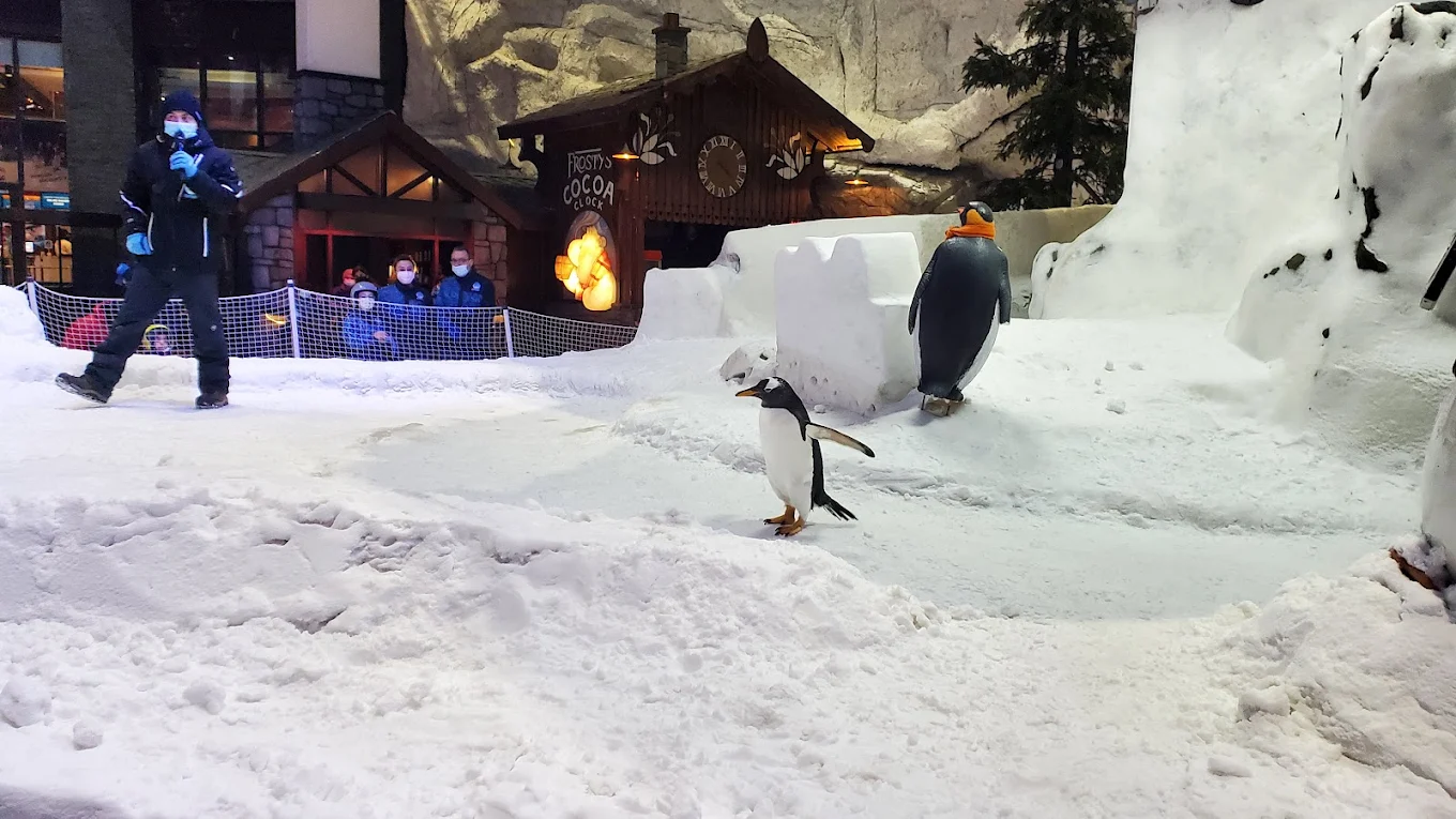 Indoor Ski Dubai