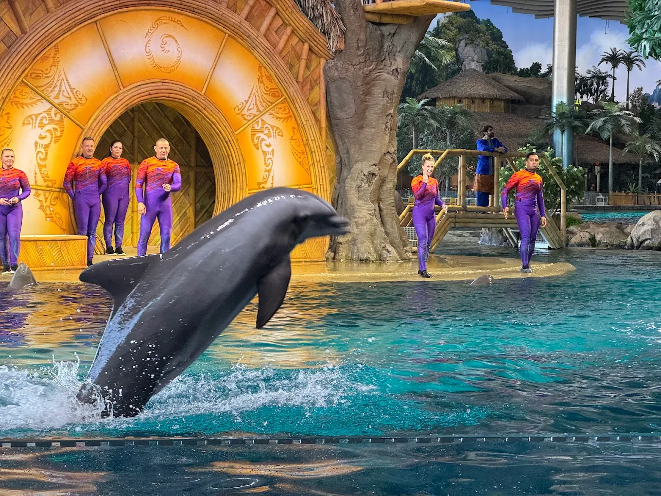 Seaworld Yas Island Abu Dhabi