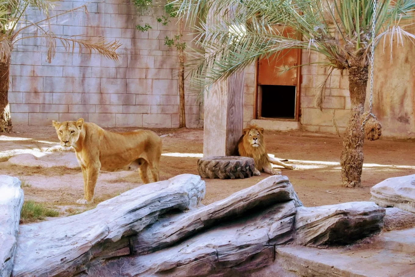 Emirates Park Zoo Abu Dhabi