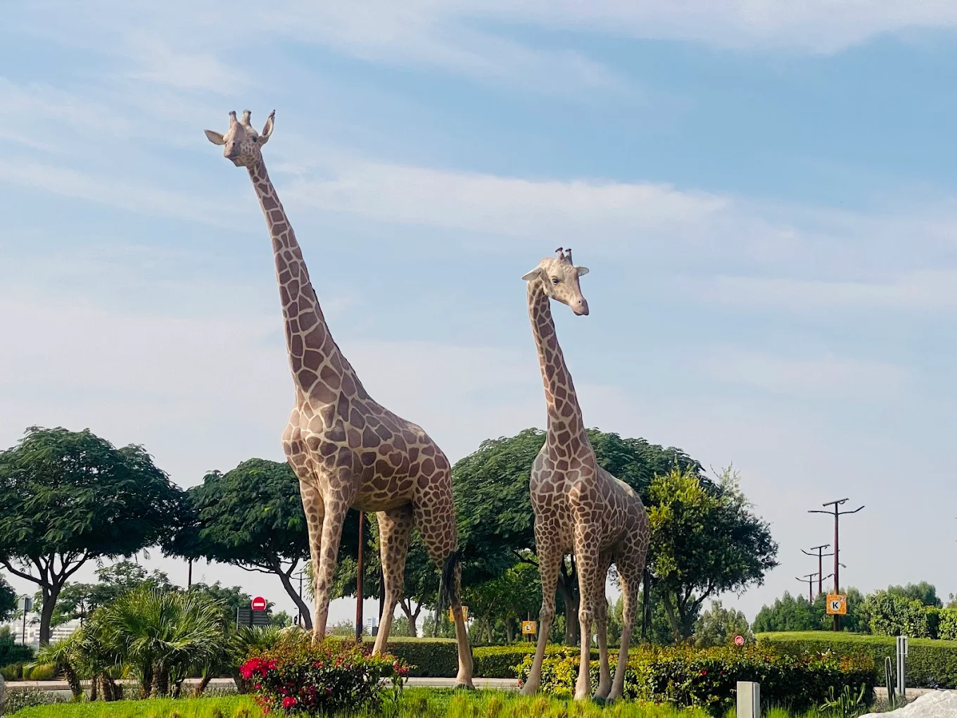 Dubai Safari Park